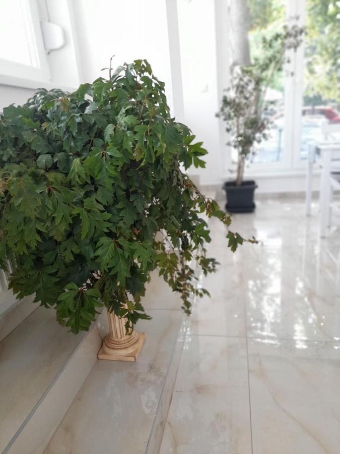 Orion Panzio Bed & Breakfast ไฮจ์ดุสโซบอสโล ภายนอก รูปภาพ